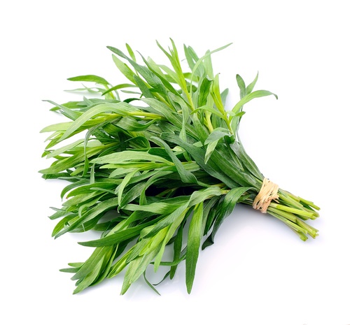 tarragon fertilizer